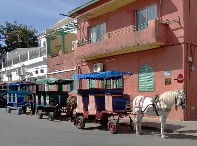 Calèche — paard en wagen