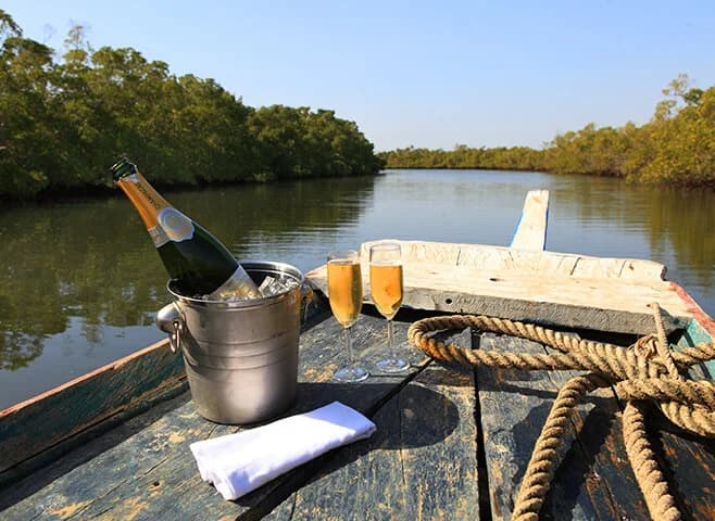 Luxe mangrove boottocht