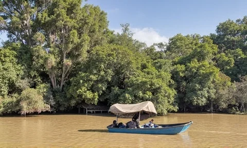 Rondvaart Gambia-rivier
