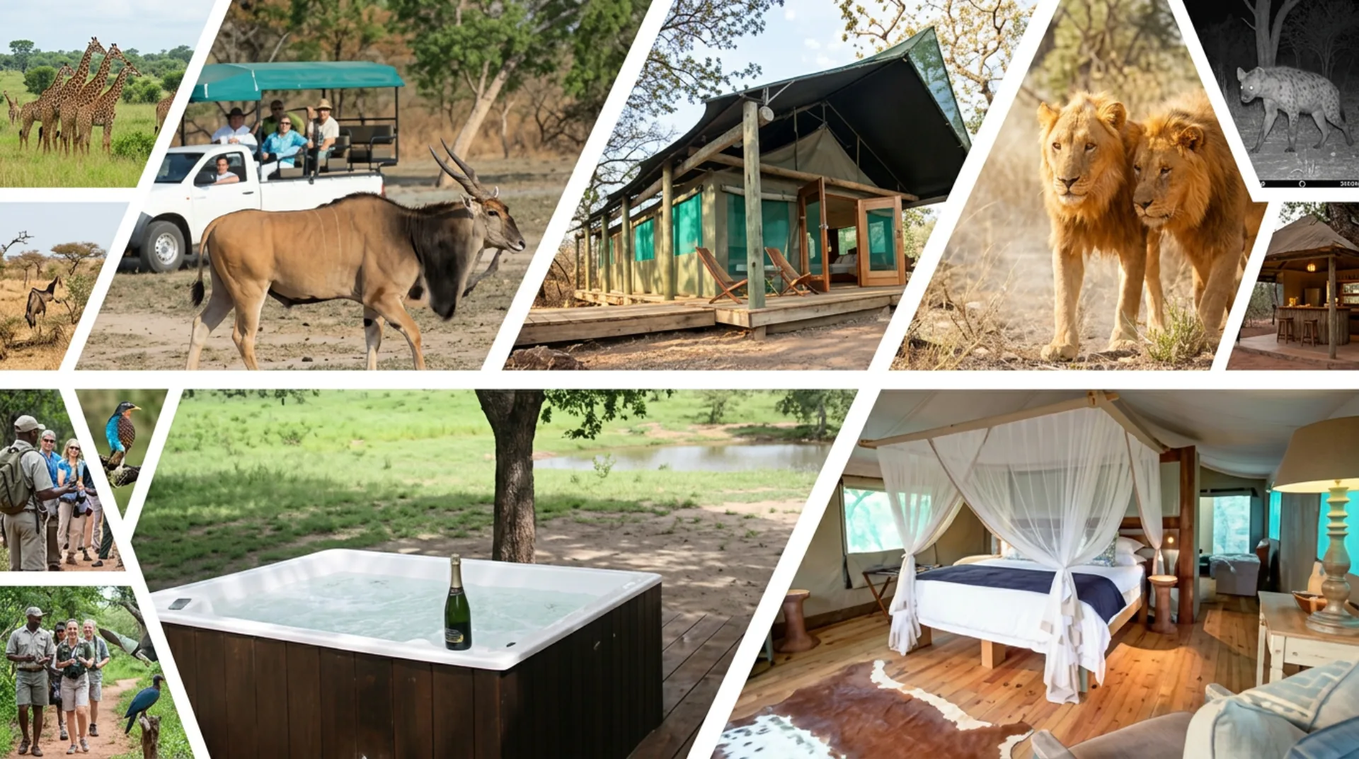 Fathala Wildlife Reserve — neushoorns, zebra's en safarijip